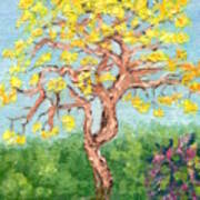 Tabebulia Tree Art Print