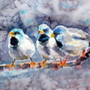 Talking Birds Art Print