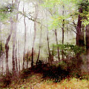 Tennessee Forest Fog Art Print