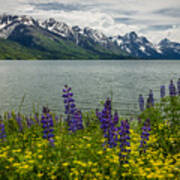 Teton Spring Art Print