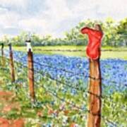 Texas Bluebonnets Boot Fence Art Print