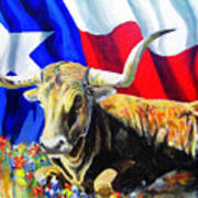 Texas Icons Art Print