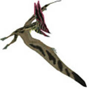 Thalassodromeus Pterosaur In Flight Art Print