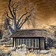 Thatched Cottage Art Print