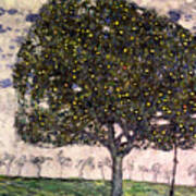 The Apple Tree Ii Art Print