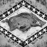 The Arkansas Razorbacks Black And White Art Print