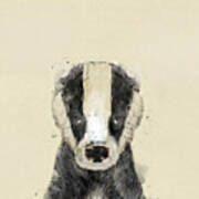 The Badger Art Print
