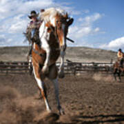 The Buckout At Sombrero Ranch Art Print