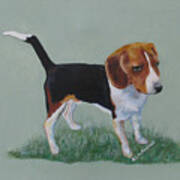 The Cautious Beagle Art Print