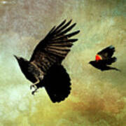 The Crow And The Blackbird Art Print