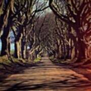 The Dark Hedges #thedarkhedges Art Print