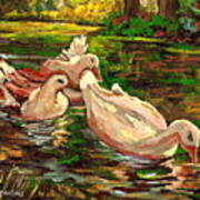 The Duck Pond At Botanical Gardens Art Print