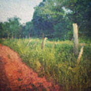 The Fence Posts Along The Road Art Print