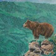 The Franklin Grizzly Bear Art Print