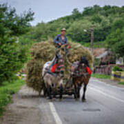The Hay Cart, Romania Art Print