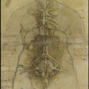 The Human Organ System Art Print