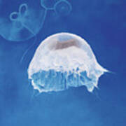 The Jellyfish Nursery Art Print