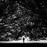 The Man And The Trees - Cong, Ireland - Black And White Photography Art Print
