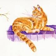 Ginger Cat - The New Neighbour Art Print