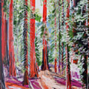 The Redwoods Art Print