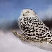 The Snowy Owl Art Print