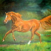 The Stallion-horse Art Painting Art Print