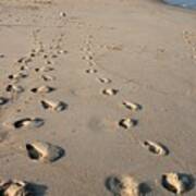 The Trails Of Footprints - Jersey Shore Art Print