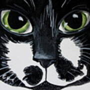 The Tuxedo Cat Art Print