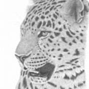 The Watchful Leopard Art Print