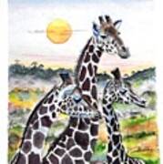 Three Giraffes    Sold Art Print