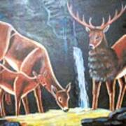 Three Deer Drinking Beer Art Print