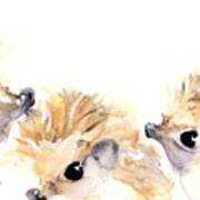 Three Hedgehogs Art Print
