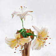 Three Pale Gold Lilies Still Life Art Print