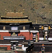 Tibet_110-6 Art Print