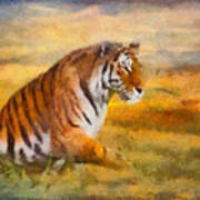 Tiger Dreams Art Print