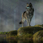Timber Wolf Art Print