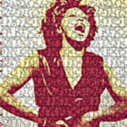 Tina Turner - Digital Graphic Poster Art Print