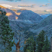 Tioga Pass Art Print