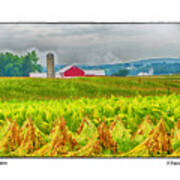 Tobacco Farm Art Print