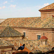 Toledo Roofs And Dove Art Print