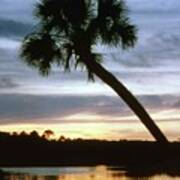 Tomoka River Sunset Art Print