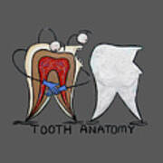 Tooth Anatomy T-shirt Art Print