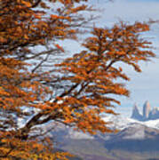 Torres Del Paine In Fall Art Print