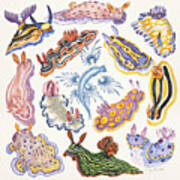 Toxic Tango I Sea Slugs Art Print
