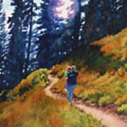 Trail To Lupine Valley Art Print