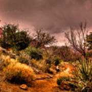 Traveling The Trail At Red Rocks Canyon Art Print