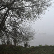 Tree And Moored Boat Art Print