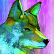 Trickster Coyote Art Print