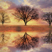 Trio Of Trees Art Print