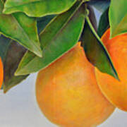 Trois Oranges Art Print